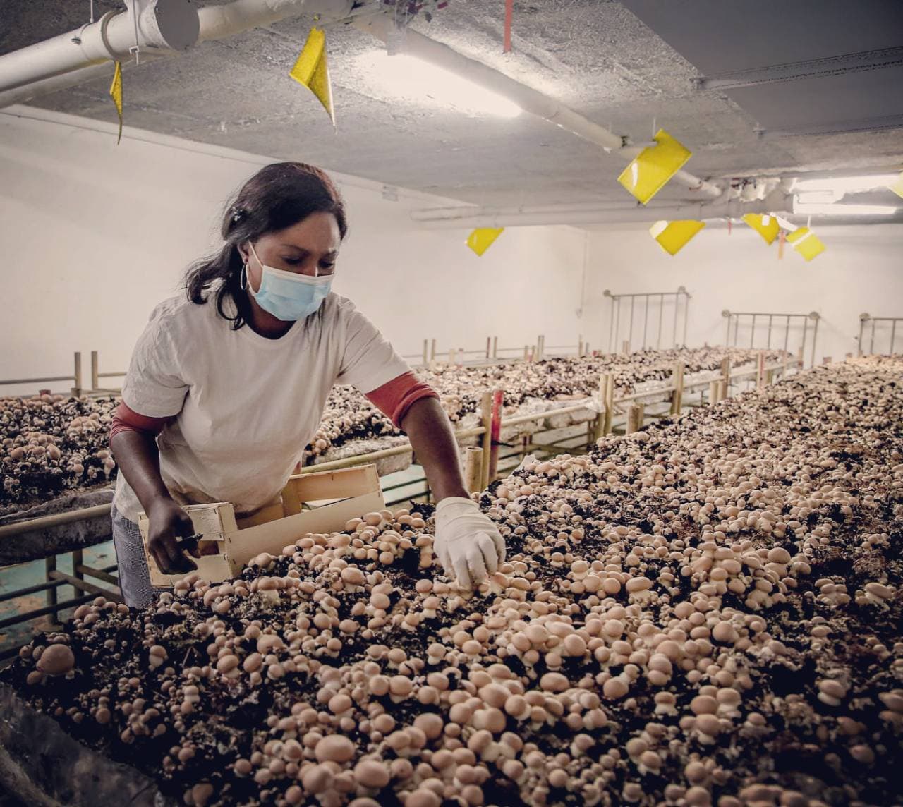 La Cave Agricole à Bordeaux